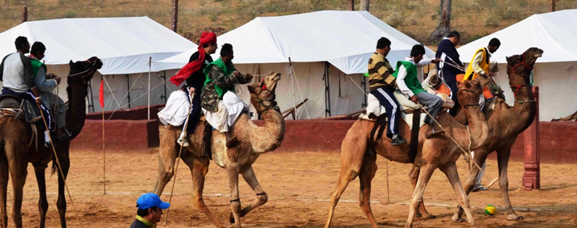 GUESTS PLAYING CAMEL POLO GUESTS PLAYING CAMEL POLO