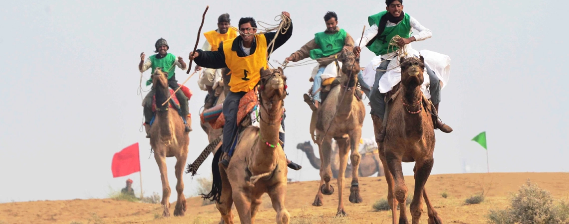 CAMEL RACES CAMEL RACES